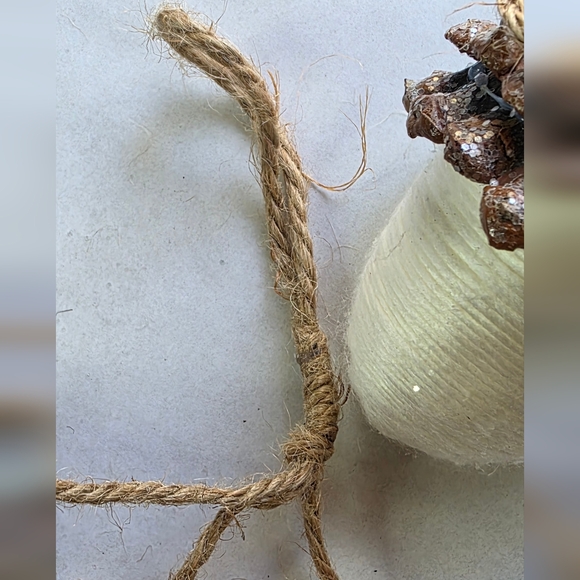 Pottery Barn Holiday - Picture 7 of 9